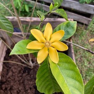 Meet your Posher, Cassie